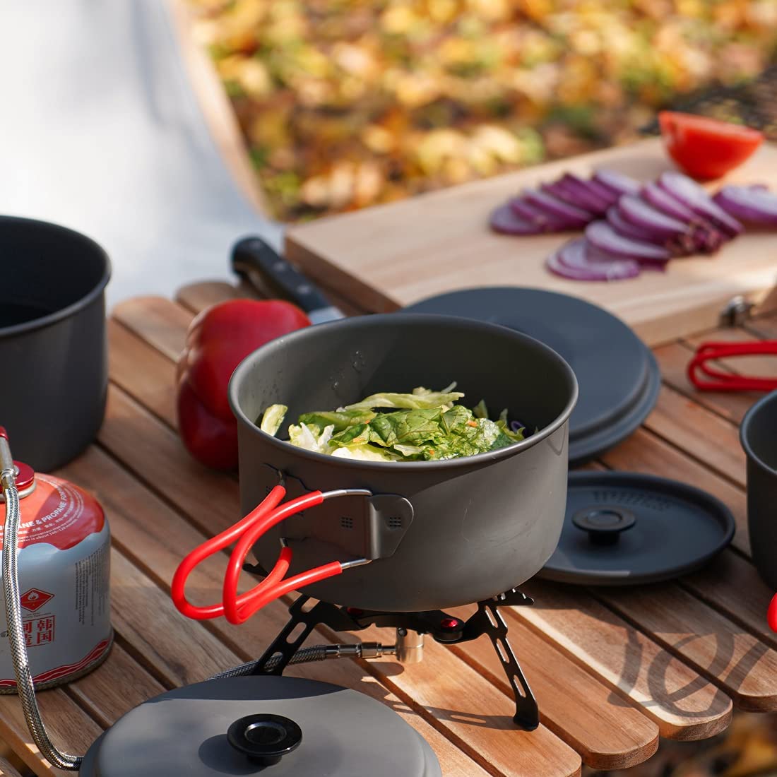 Camping Cookware Pots and Pans Set With Mesh Carry Bag